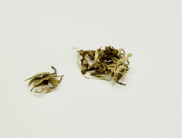 White Tea (Spring Harvest) - Image 2